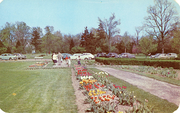 postcard